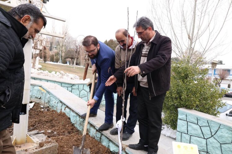  آیین بزرگداشت روز درختکاری